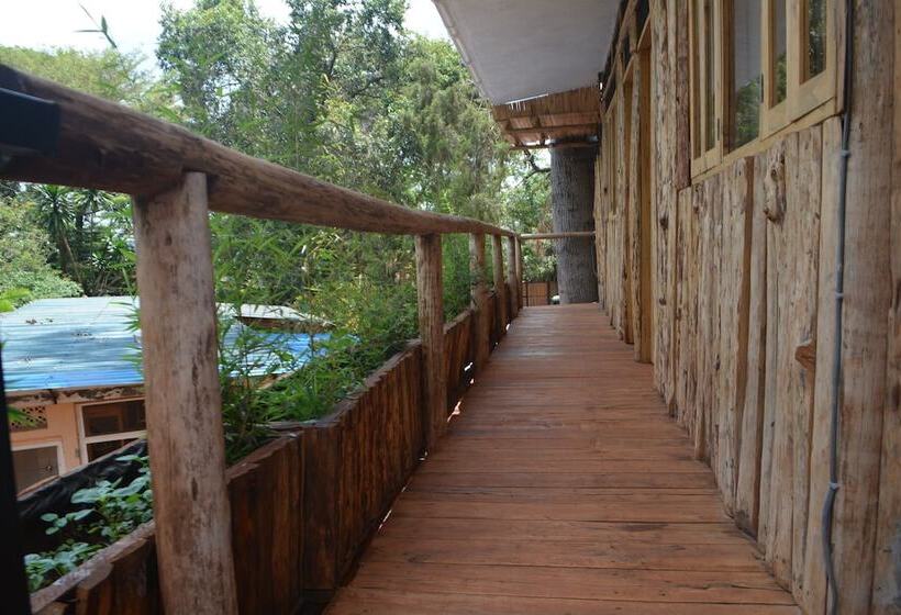 هاستل Jinja Backpackers