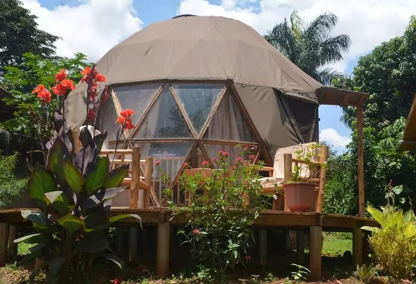 هاستل Jinja Backpackers