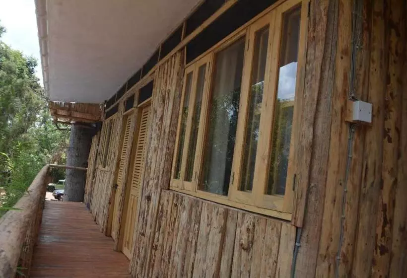 هاستل Jinja Backpackers