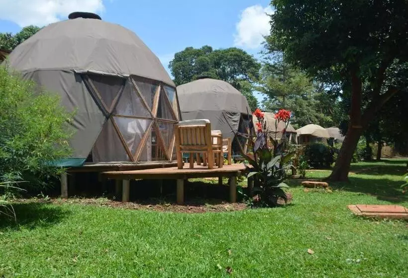 هاستل Jinja Backpackers