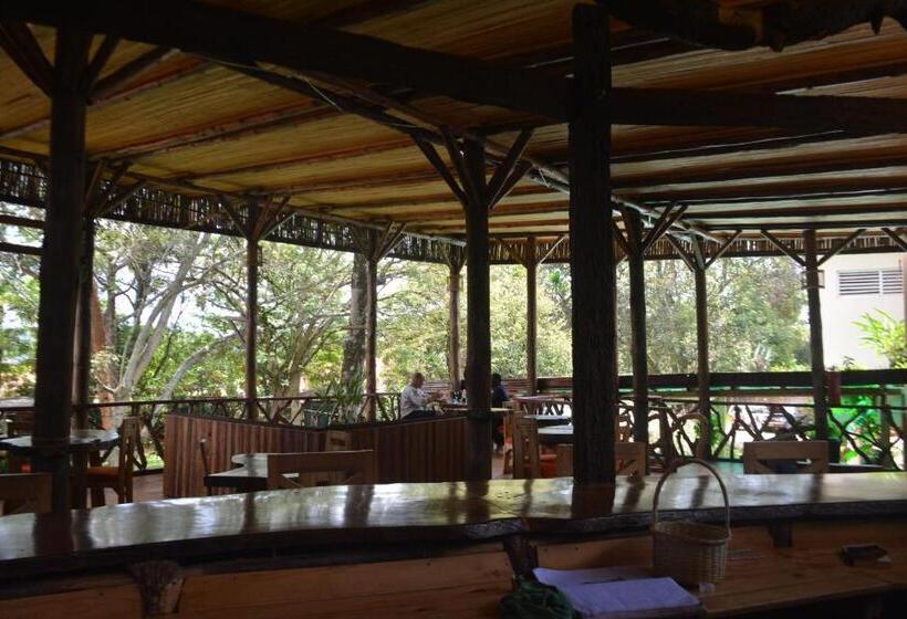 هاستل Jinja Backpackers