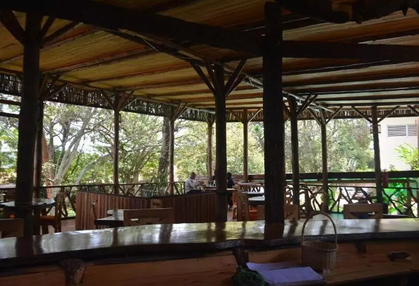 هاستل Jinja Backpackers