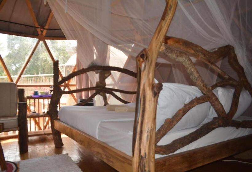 هاستل Jinja Backpackers