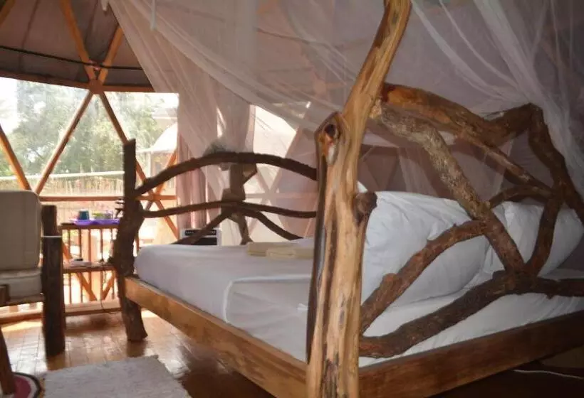 هاستل Jinja Backpackers