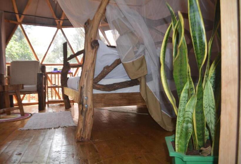 هاستل Jinja Backpackers