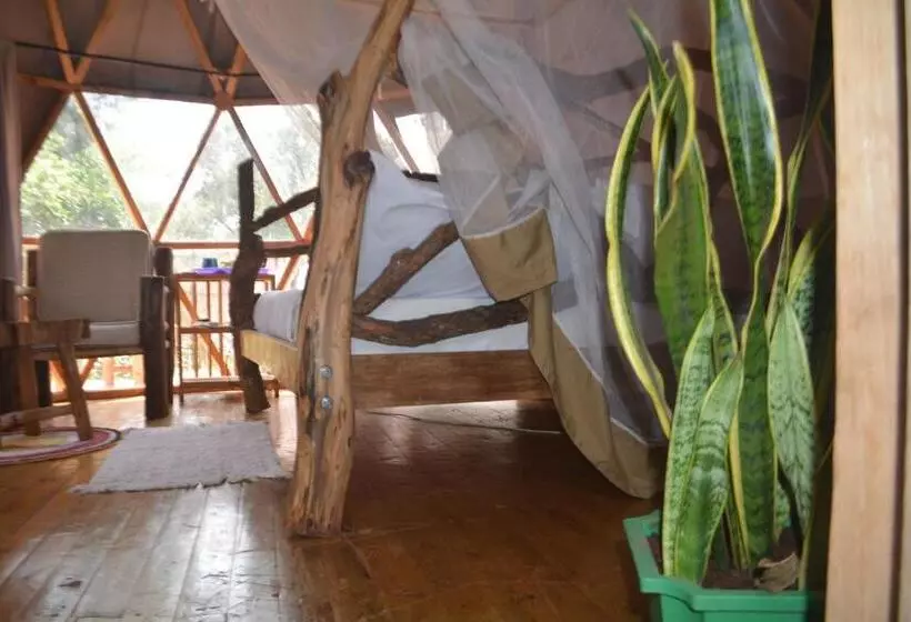 هاستل Jinja Backpackers