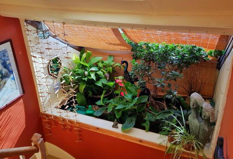 Alma House Bed And Breakfast