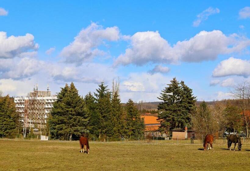 Carea Harz Hotel Allrode