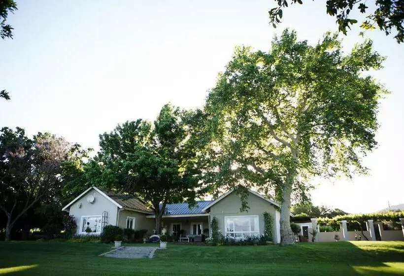 ホテル Doran Vineyards