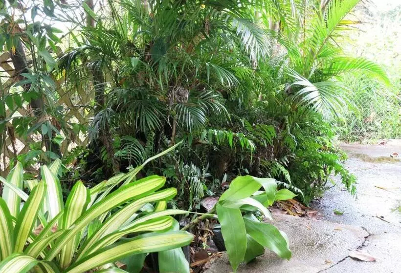 Pahoa Village Hostel