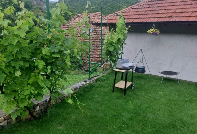 پانسیون Vila Mir