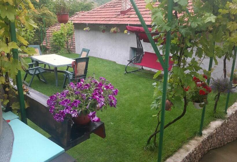 پانسیون Vila Mir