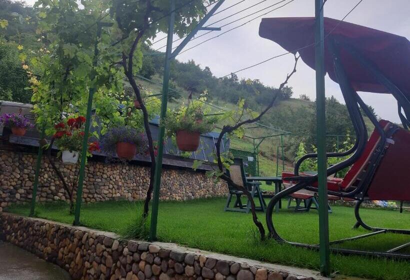 پانسیون Vila Mir