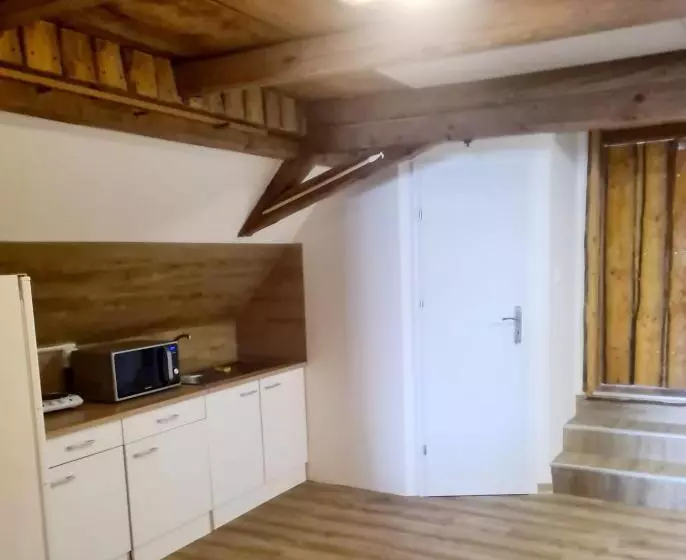 Retkeilymaja Penzion Ostrov U Stribra 13