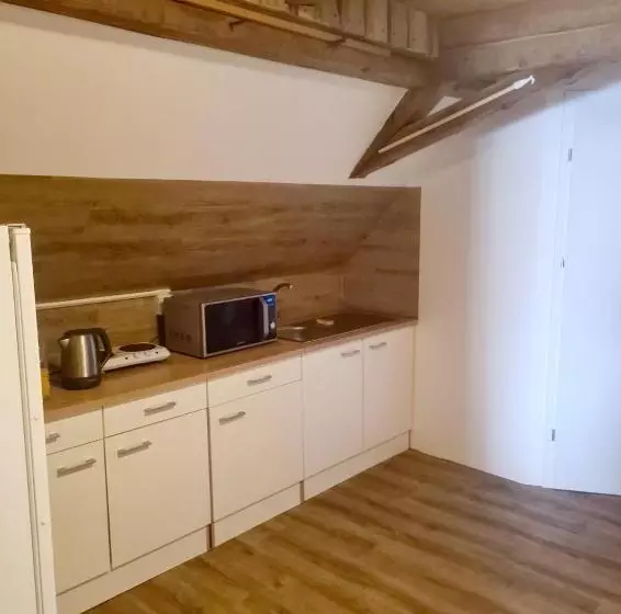 Retkeilymaja Penzion Ostrov U Stribra 13