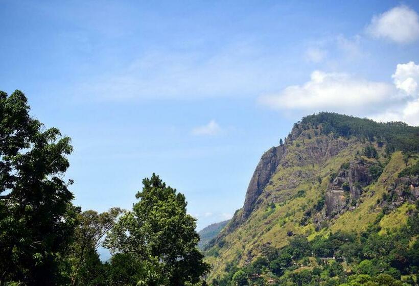 مبيت وإفطار Pale S Place