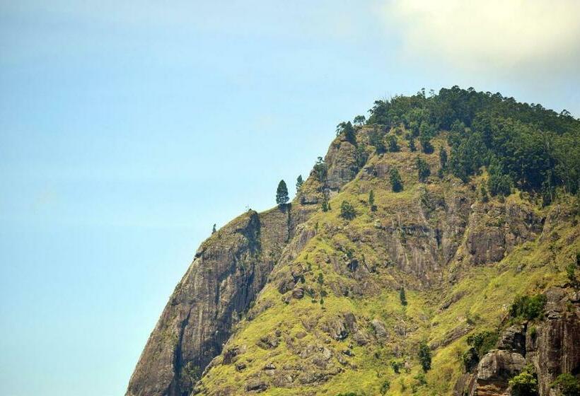 مبيت وإفطار Pale S Place