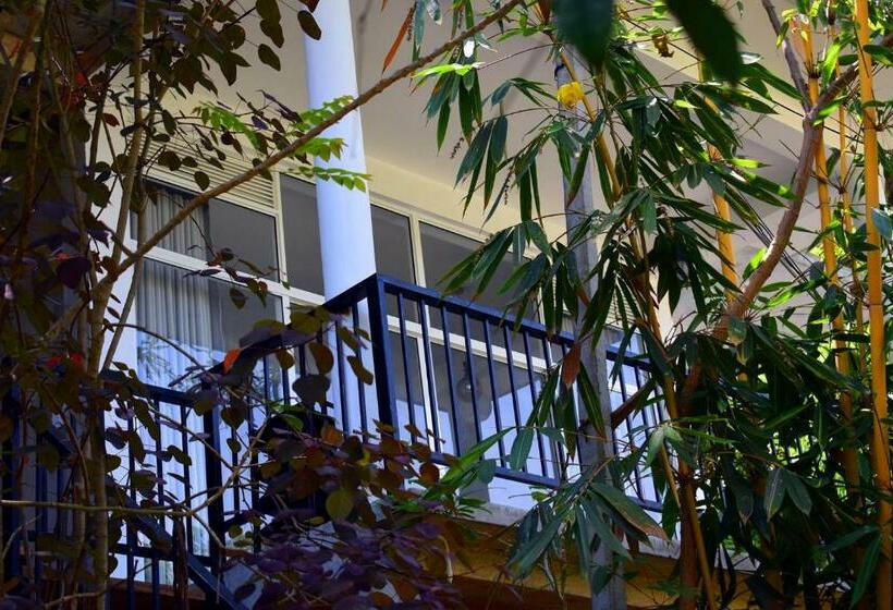 مبيت وإفطار Pale S Place