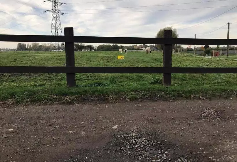 Aamiaismajoitus (B&B) Ferme De La Forterie