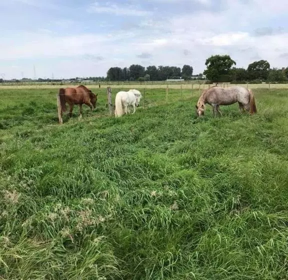 Aamiaismajoitus (B&B) Ferme De La Forterie