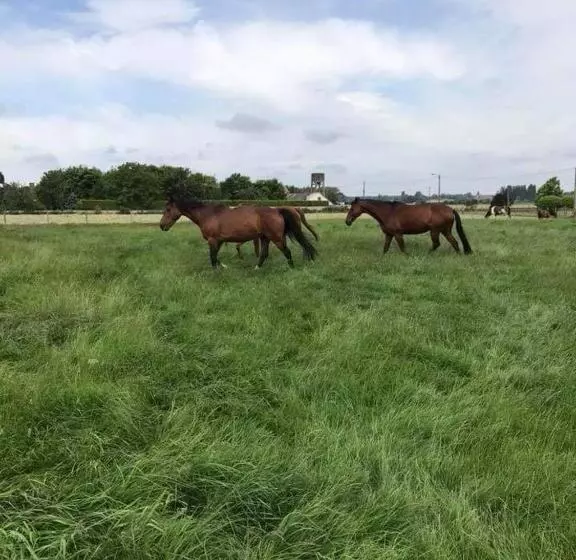 Aamiaismajoitus (B&B) Ferme De La Forterie