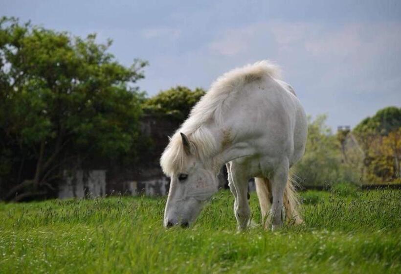 민박 Ferme De La Forterie