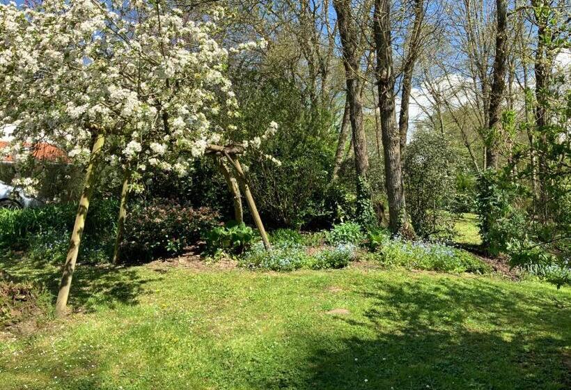 Bed and Breakfast Le Moulin De La Castellerie