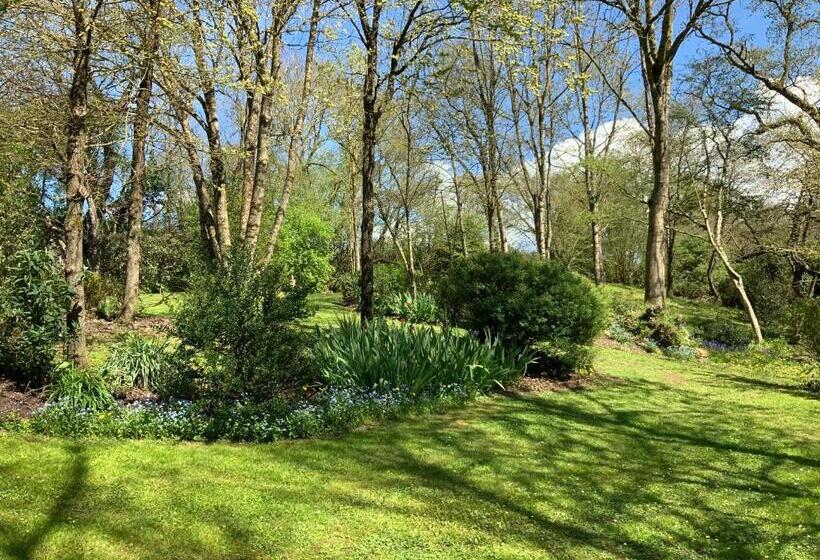 Bed and Breakfast Le Moulin De La Castellerie