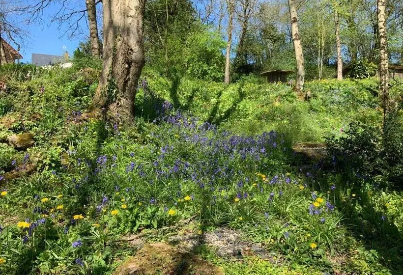 Aamiaismajoitus (B&B) Le Moulin De La Castellerie