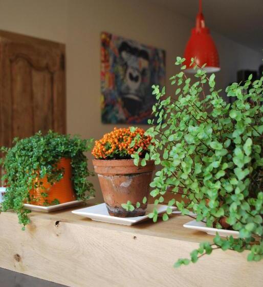 Bed and Breakfast Natangora