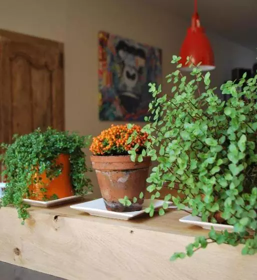 Aamiaismajoitus (B&B) Natangora