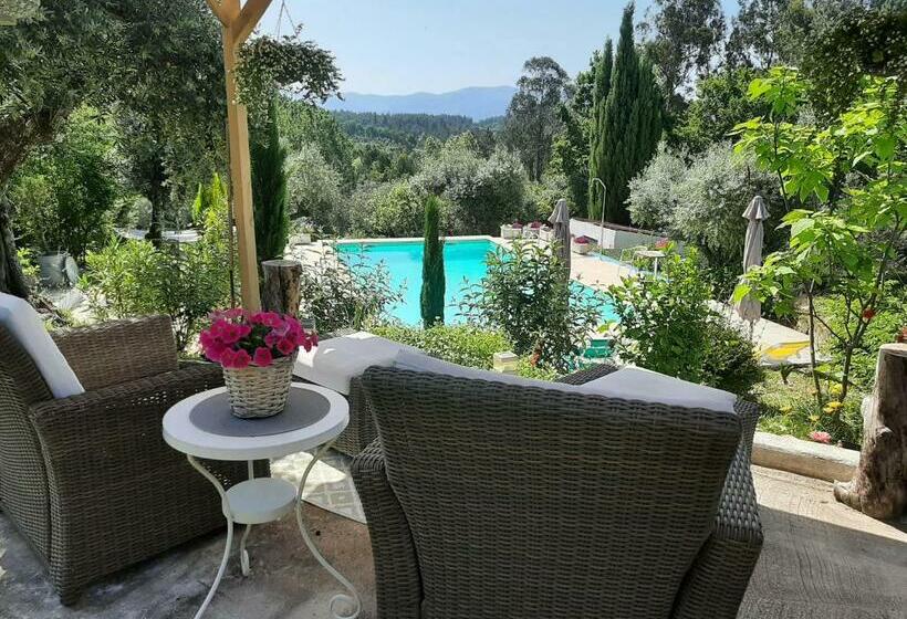 Bed and Breakfast Porturama