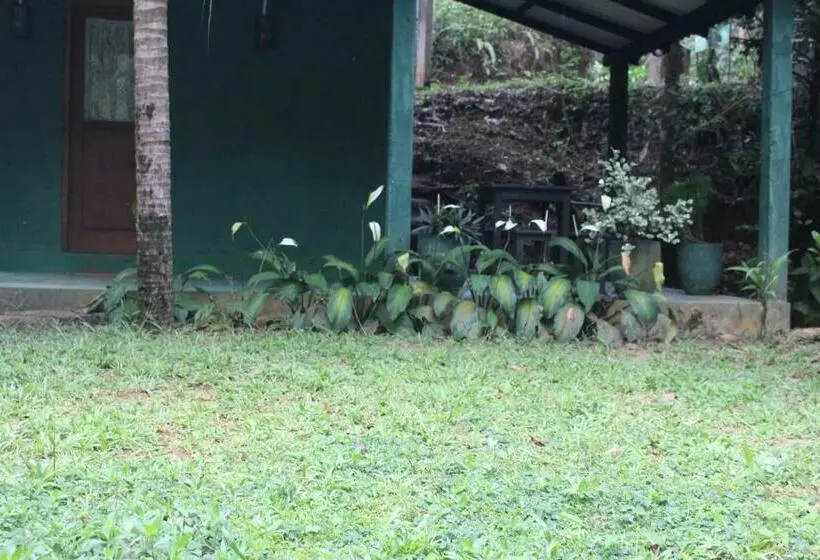 ベッドアンドブレックファースト Sinharaja Aranuwa Resort