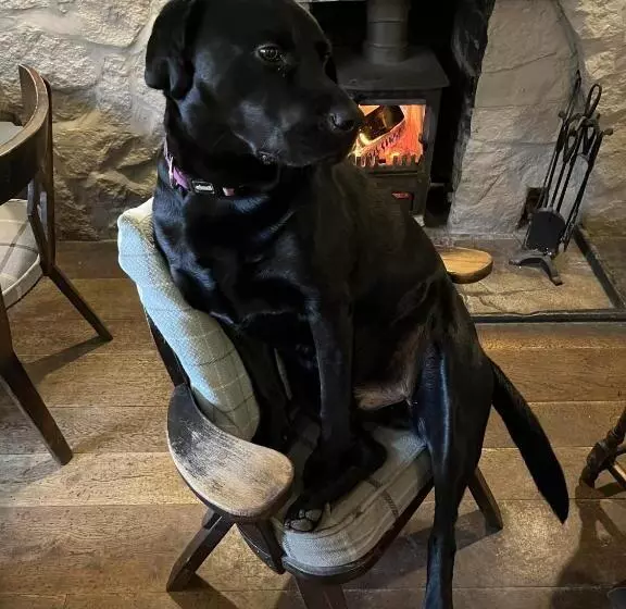 Aamiaismajoitus (B&B) The Crewe Arms