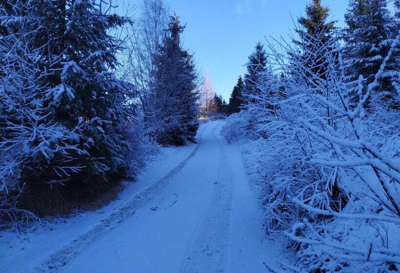 ホテル Pensiunea Piatra Mandrutului