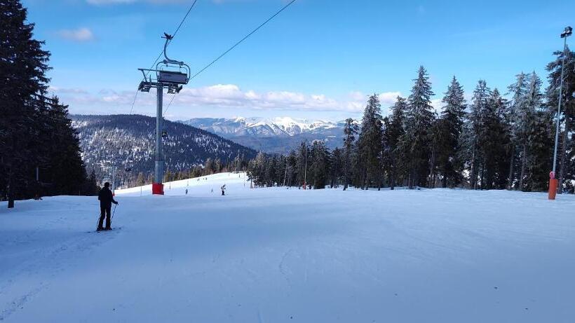 ホテル Pensiunea Piatra Mandrutului