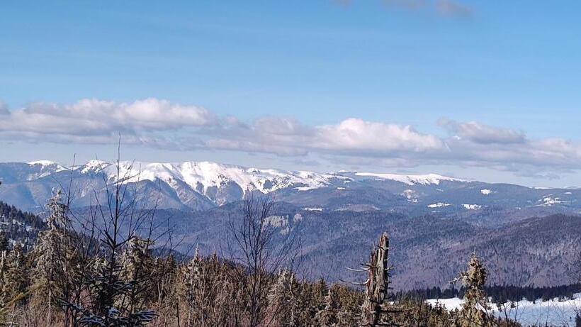 ホテル Pensiunea Piatra Mandrutului