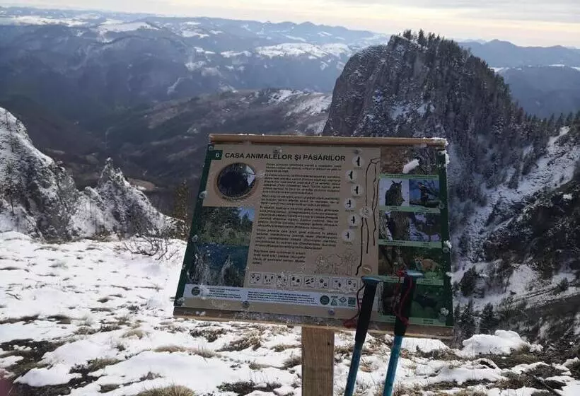 ホテル Pensiunea Piatra Mandrutului