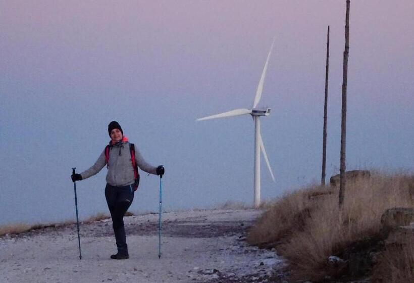 ホテル Pensiunea Piatra Mandrutului