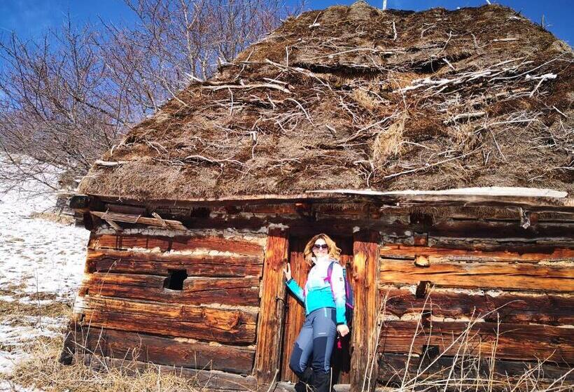 ホテル Pensiunea Piatra Mandrutului