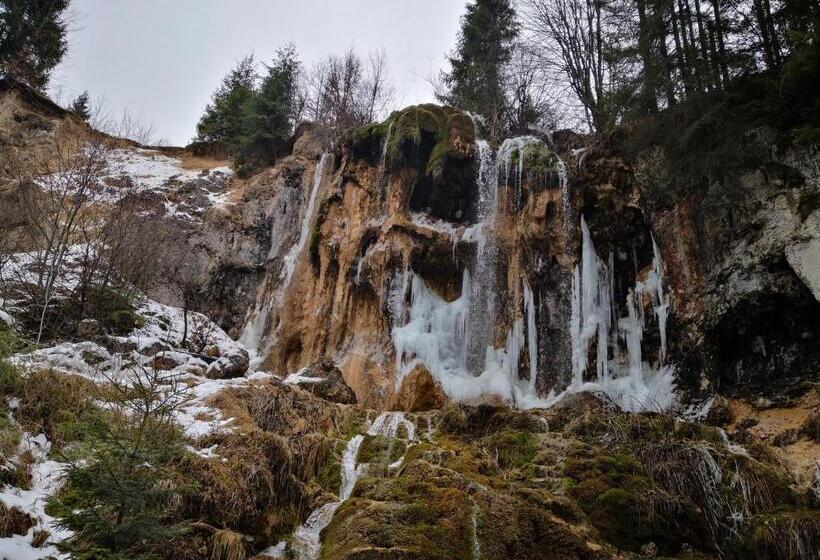 ホテル Pensiunea Piatra Mandrutului