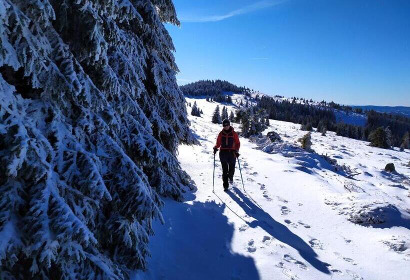 ホテル Pensiunea Piatra Mandrutului