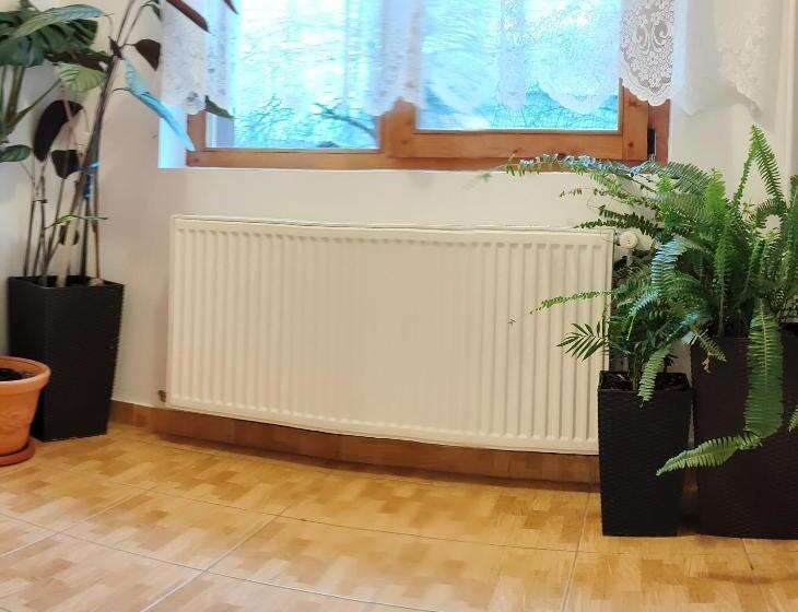 ホテル Pensiunea Piatra Mandrutului