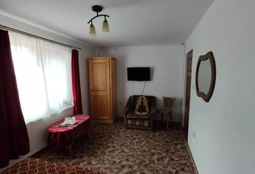 ホテル Pensiunea Piatra Mandrutului