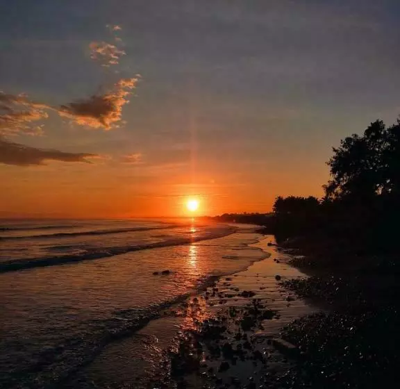 Olana Bed And Breakfast