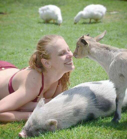 بنسيون Bari Tanya