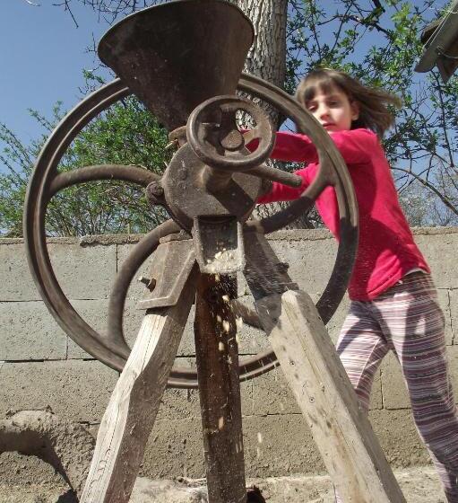 بنسيون Bari Tanya