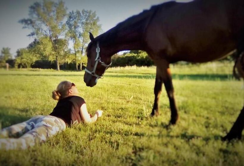 بنسيون Bari Tanya