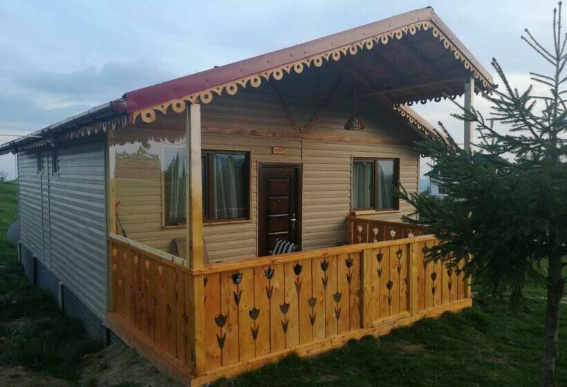 膳宿费 Cabana De Lemn Runcu Stone