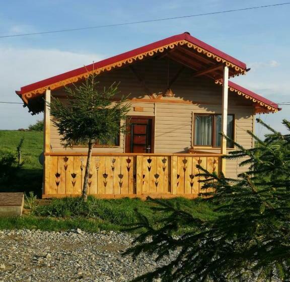 膳宿费 Cabana De Lemn Runcu Stone